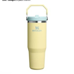 Stanley flip straw tumbler 40 oz active hydration
